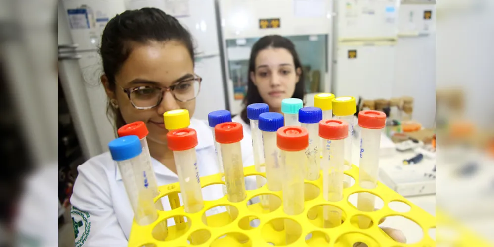 As instituições estão formando redes de pesquisadores para intensificar estes trabalhos.