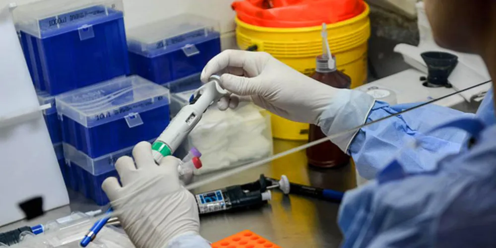 Sesa confirma três novas mortes pelo coronavírus neste fim de semana