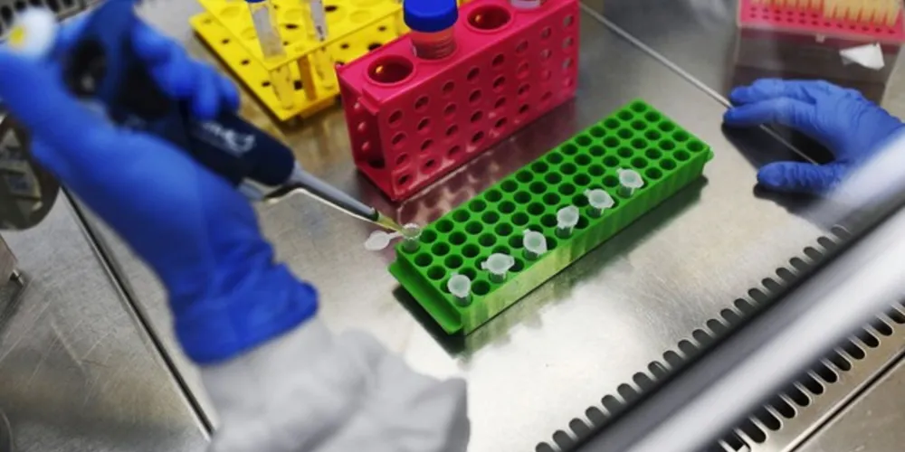 Maior número de casos e de mortes é no estado de São Paulo, segundo o Ministério da Saúde