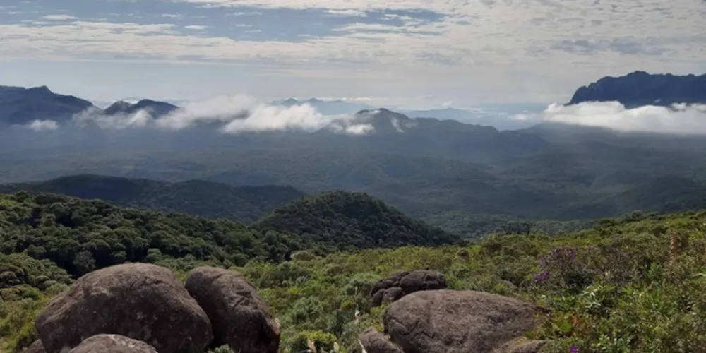 Instituto orienta a população para que não visite as Unidades de Conservação nesse período 