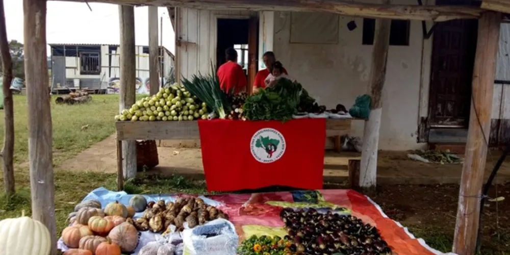 Os alimentos são resultados do cultivo totalmente orgânico nos acampamentos Maria Rosa do Contestado e Padre Roque Zimmermann, em Castro, e pré-assentamento Emiliano Zapata, em Ponta Grossa.