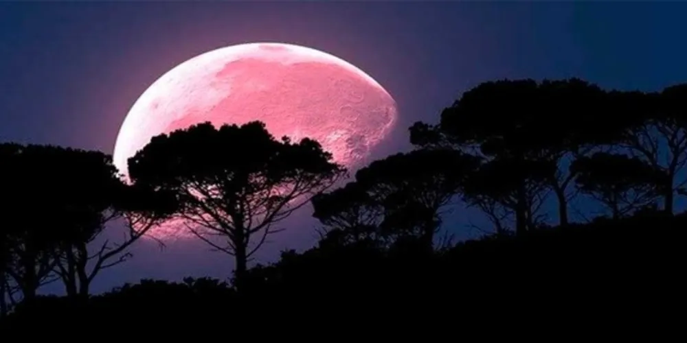 Olhando da janela de sua casa já será possível observar, pelo menos em algum ponto. 