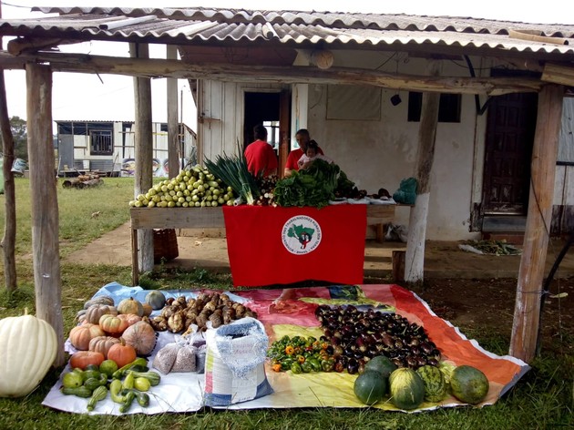 Os alimentos são resultados do cultivo totalmente orgânico nos acampamentos Maria Rosa do Contestado e Padre Roque Zimmermann, em Castro, e pré-assentamento Emiliano Zapata, em Ponta Grossa.
