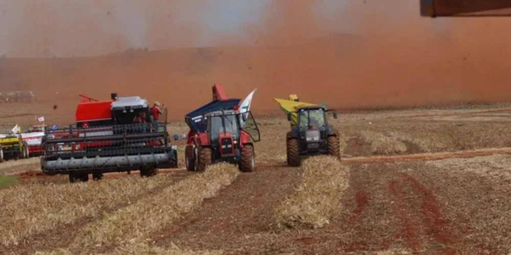 Imagem ilustrativa da imagem Produção de grãos irá superar 250 milhões de toneladas