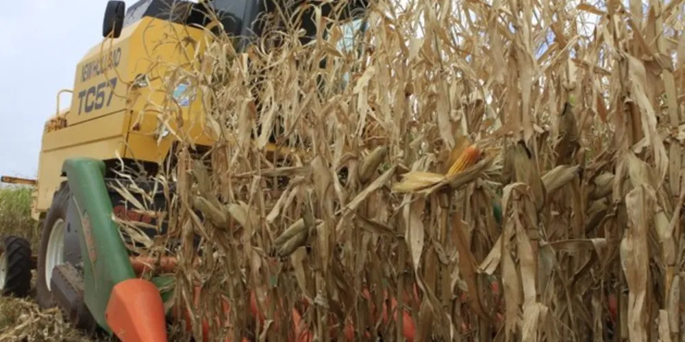 Imagem ilustrativa da imagem Governo anuncia medidas para ajudar agronegócio