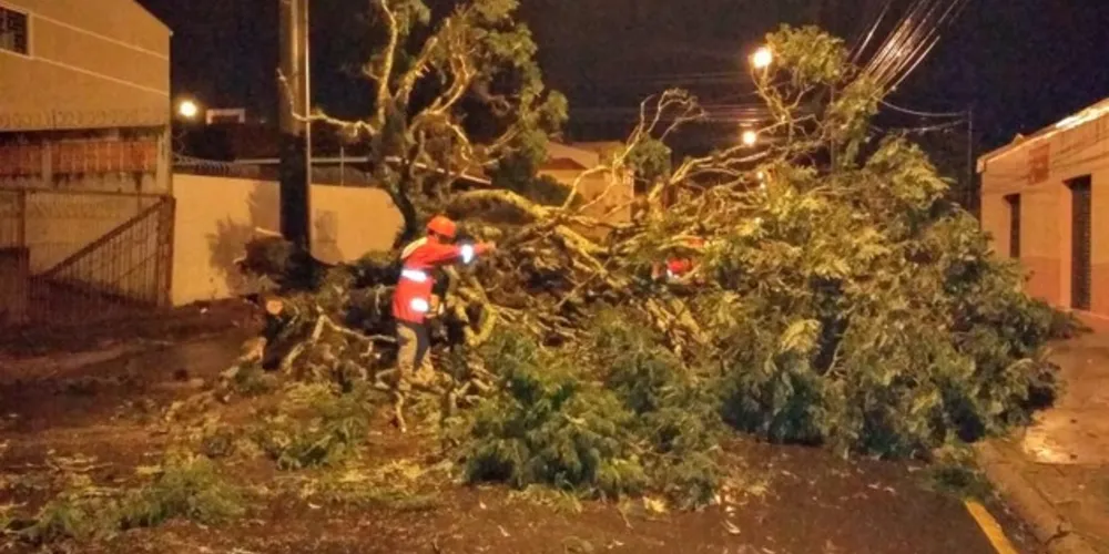 Imagem ilustrativa da imagem Chuva forte causa estragos em Ponta Grossa