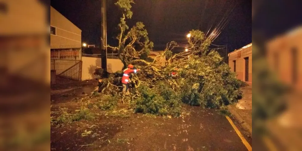 Imagem ilustrativa da imagem Chuva forte causa estragos em Ponta Grossa