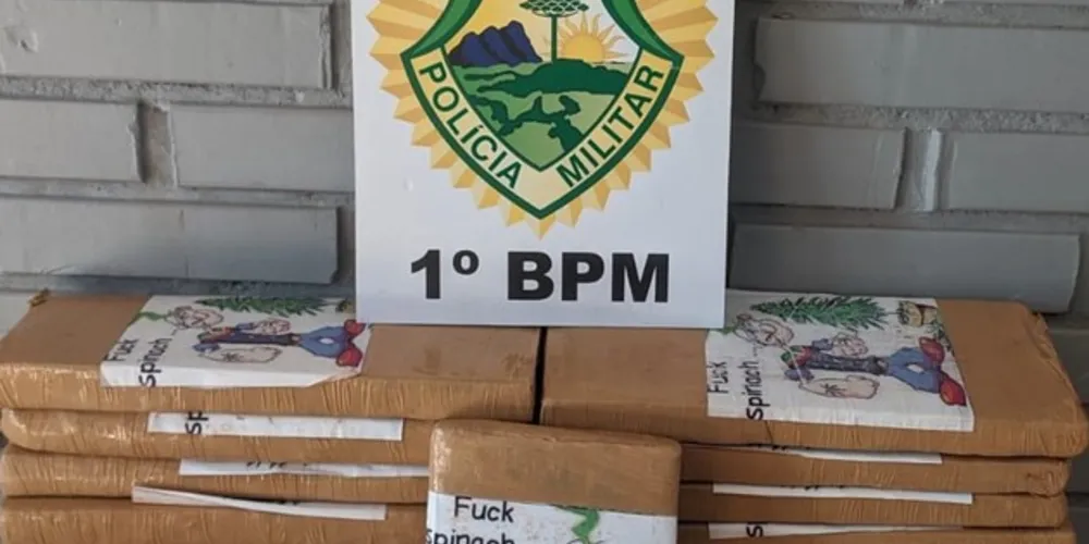 Imagem ilustrativa da imagem PM apreende entorpecentes que seriam comercializados na região