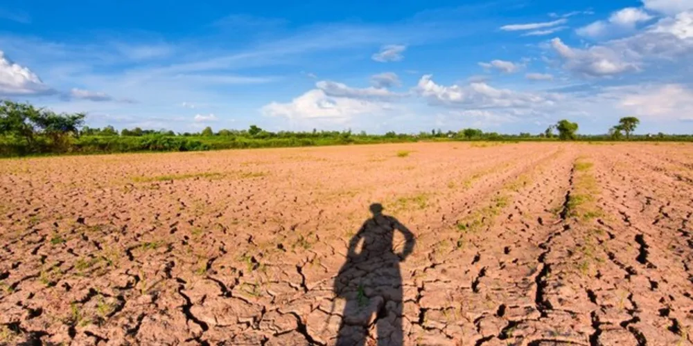 Imagem ilustrativa da imagem Garantia-Safra pagará R$ 73 mi a 120 mil agricultores em abril