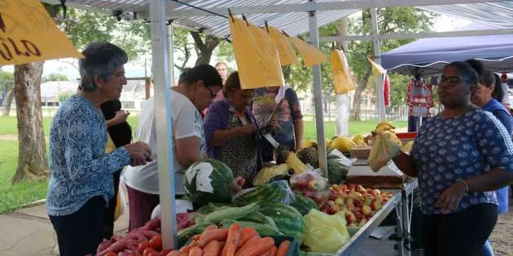 Imagem ilustrativa da imagem Feira do produtor é retomada no Jardim Carvalho