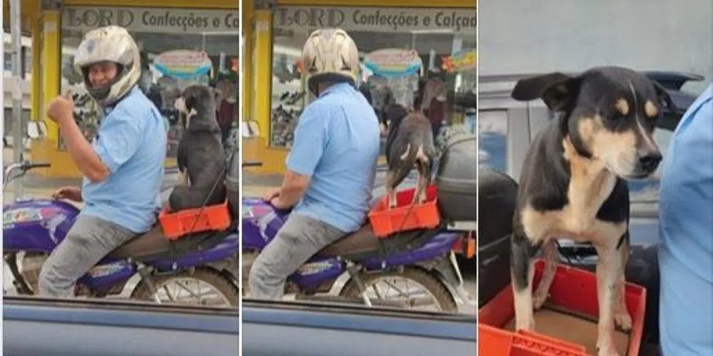 Cena foi registrada nesta manhã no Centro de Ponta Grossa