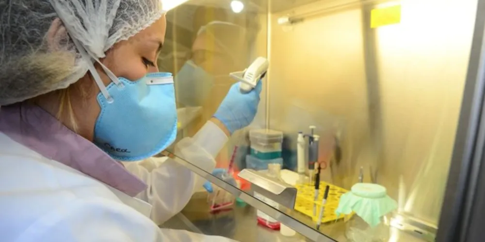 O Brasil é atualmente o 11º país no ranking global em produção científica