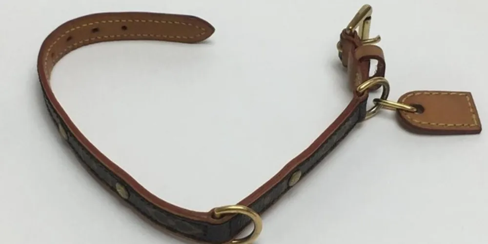 A equipe da PM se deparou no local com uma mulher de 70 anos acorrentada por uma coleira afivelada em seu pescoço