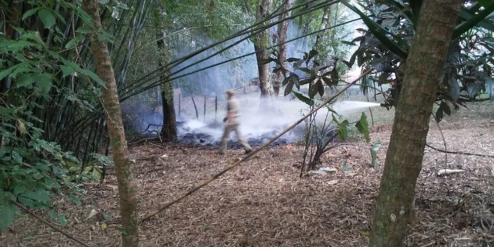 Imagem ilustrativa da imagem Fumaça de incêndio ambiental invade a Câmara de PG