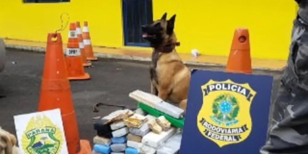 Droga era transportada em fundo falso de veículo. Os dois foram presos.