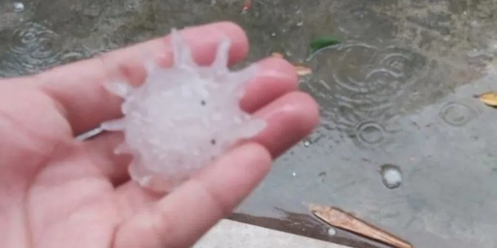 Populares perceberam que os pedaços de gelo tinham o formato parecido com o coronavírus