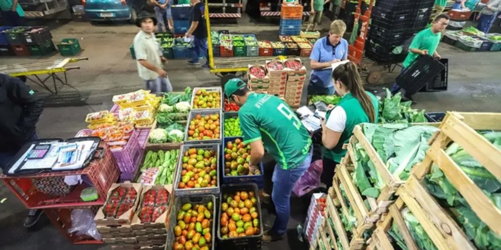 Dos 11 lotes abertos, nove são restritos à participação de microempresa ou empresa de pequeno porte