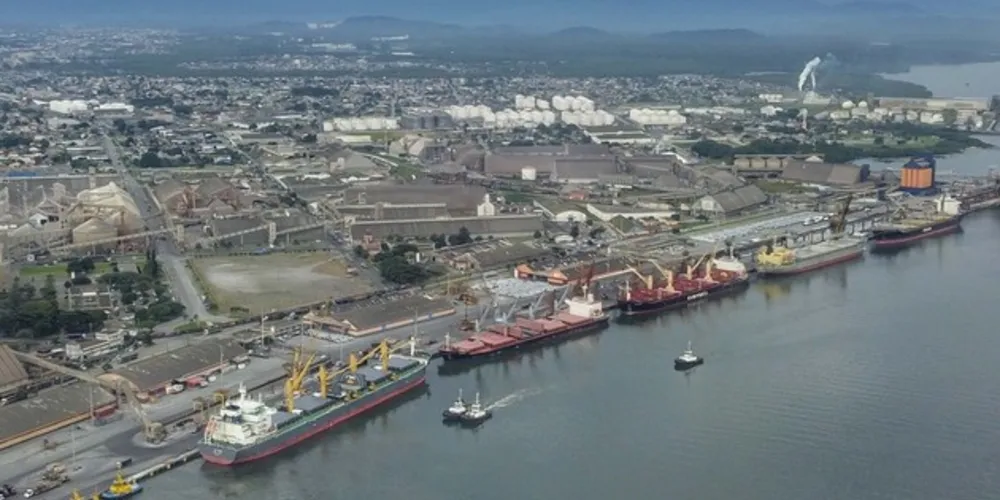 Outros produtos, como carnes de ave a bovina, também tiveram crescimento significativo.