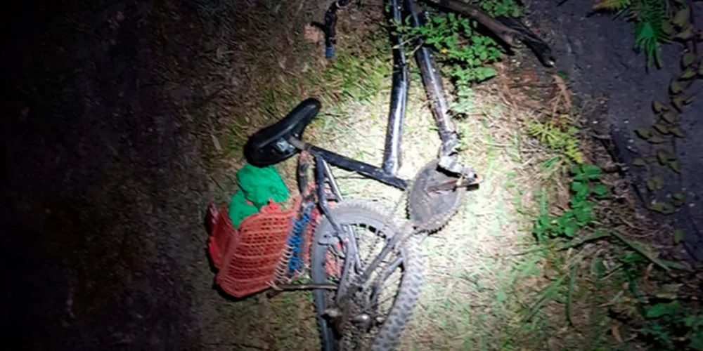 Imagem ilustrativa da imagem Atropelamento causa morte de ciclista na BR-277 em Palmeira