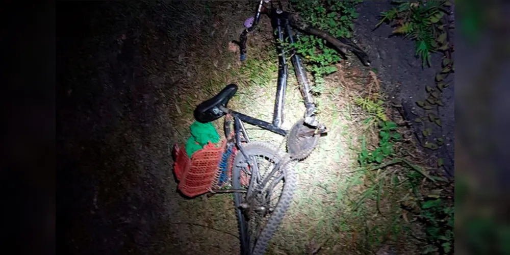 Imagem ilustrativa da imagem Atropelamento causa morte de ciclista na BR-277 em Palmeira