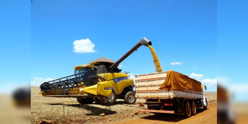 Estado deverá produzir volume 13% superior, em uma área de quase 10 milhões de hectares 