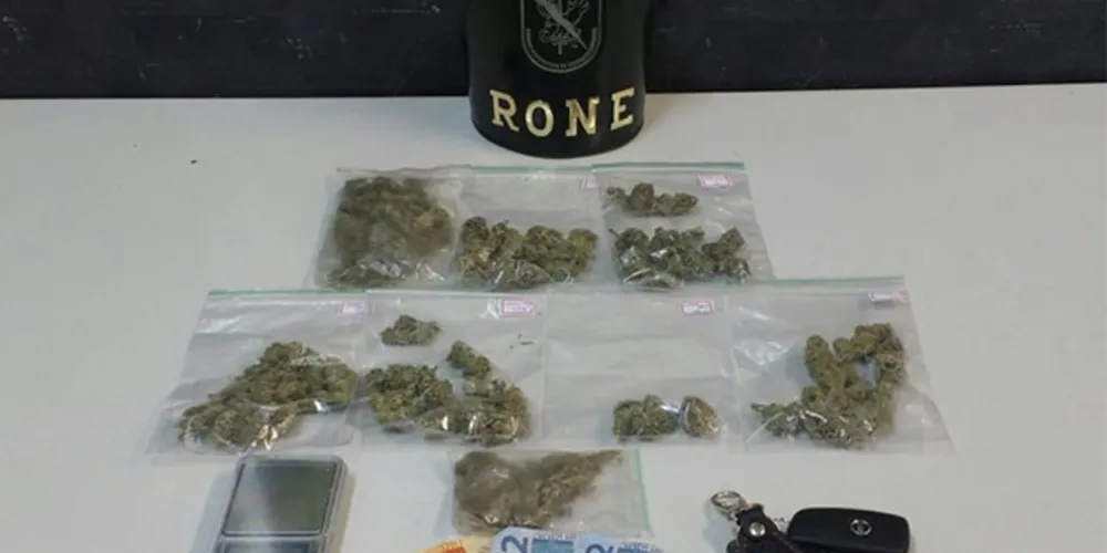 Preso seria funcionário da Assembleia Legislativa do Paraná; polícia encontrou 50g de maconha