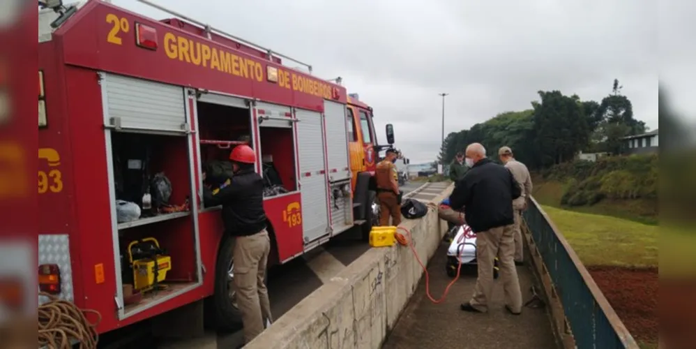 Imagem ilustrativa da imagem Bombeiros se mobilizam para evitar morte em rodovia de PG