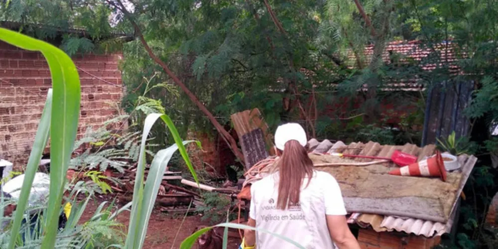 Recurso será destinado para 62 cidades que estão com taxa de incidência da doença igual ou superior a 100 casos por 100 mil habitantes. 