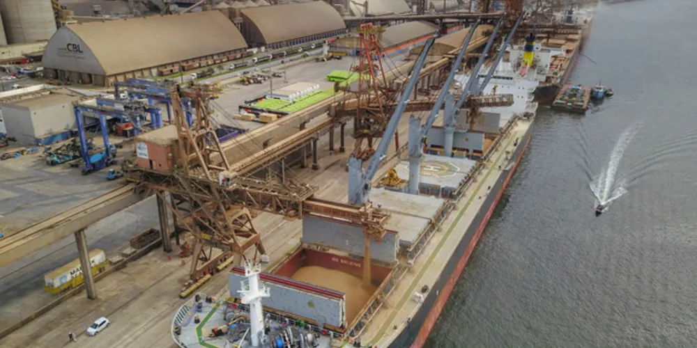 Imagem ilustrativa da imagem PG lidera envio de soja para o porto de Paranaguá