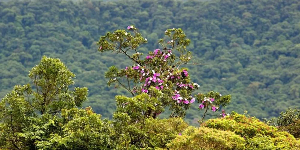 Os dados nortearão futuras propostas de desenvolvimento econômico e tomadas de decisões dos gestores públicos, de acordo com a capacidade de suporte ambiental.