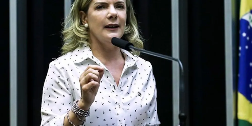 Parlamentar citou pontos principais na atual configuração do país