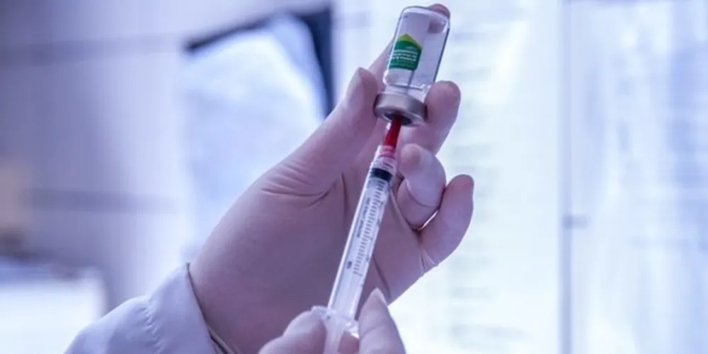Atualmente o projeto está na fase pré-clínica