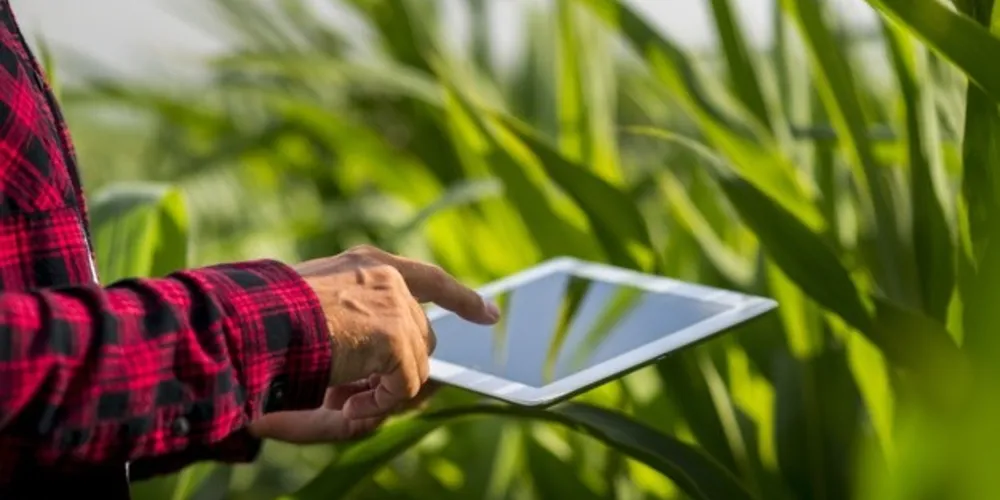 Programa, realizado pela Frísia Cooperativa Agroindustrial conta com consultoria e suporte da Aceleradora Sistema Fiep