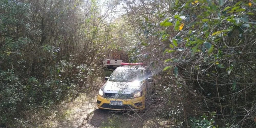 Veículo foi encontrado em um matagal na região da Lagoa Santa Tereza