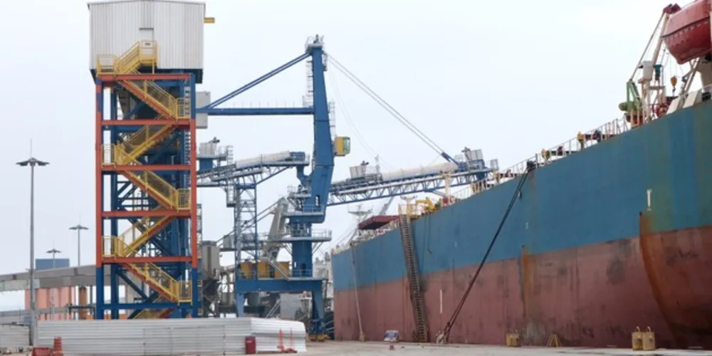 Nesta semana, começou a funcionar um novo shiploader, equipamento usado para carregar navios, no berço 206.