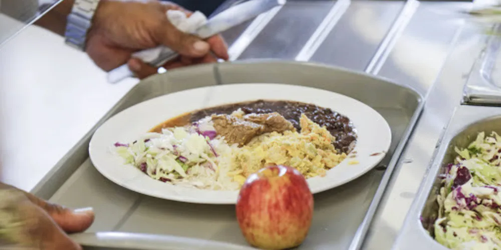 A lei estabelece que a doação pode ser de alimentos in natura, produtos industrializados e refeições prontas, todos ainda próprios para o consumo humano