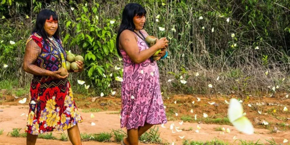 Infectados nestes grupos já chegam a 7.753 e mortes a 349