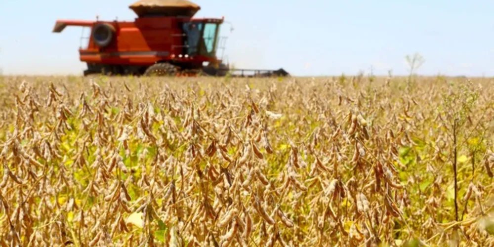 O trigo que vem sendo plantado agora no Paraná conta com boas perspectivas, tanto de preço, quanto de clima.