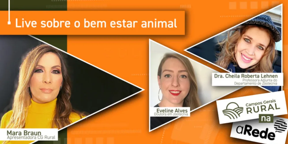 Imagem ilustrativa da imagem Campos Gerais Rural reabre debate sobre o bem-estar animal