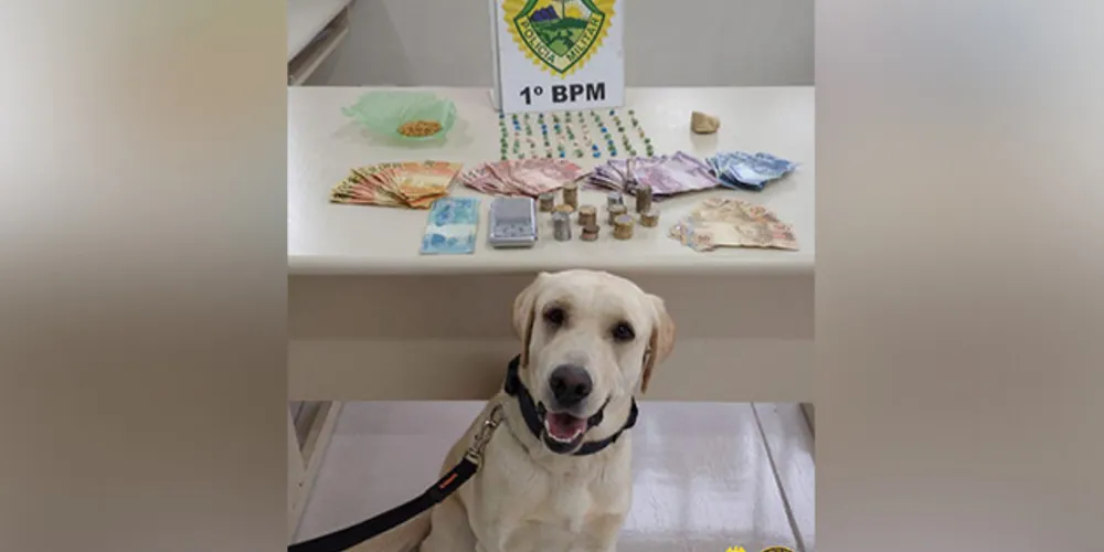 Luna ajudou policiais a encontrarem pedras de crack escondidas no imóvel