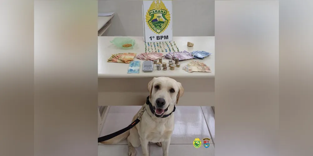 Luna ajudou policiais a encontrarem pedras de crack escondidas no imóvel