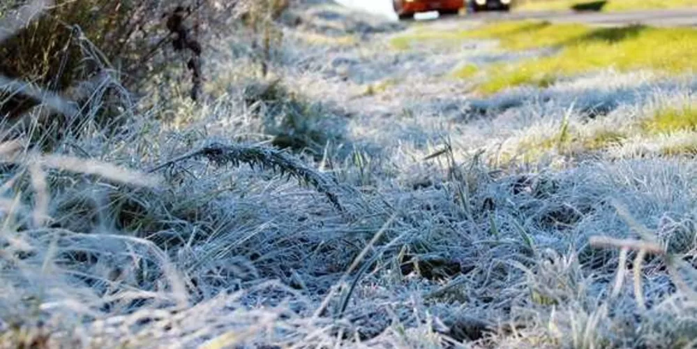 Temperaturas devem seguir próximas a 0°C até sábado, conforme o Simepar
