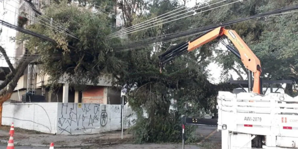 As chuvas e ventos fortes danificaram 3.469 residências. Ao todo, 280 pessoas ficaram desalojadas