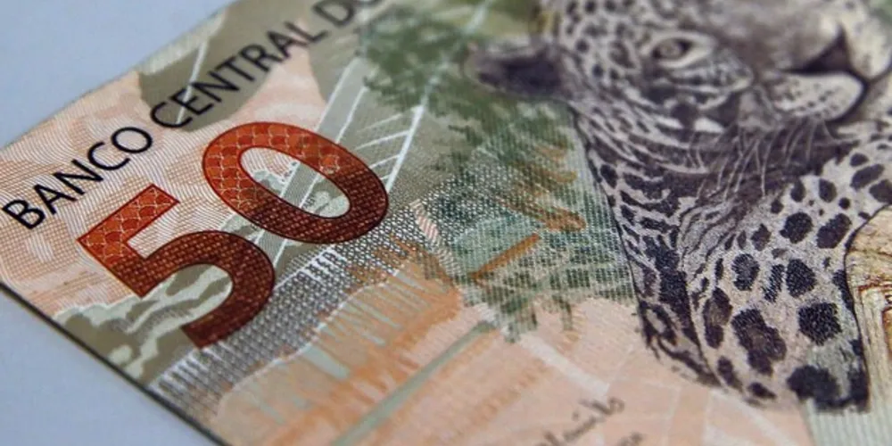A previsão foi divulgada hoje pelo Ministério da Economia.