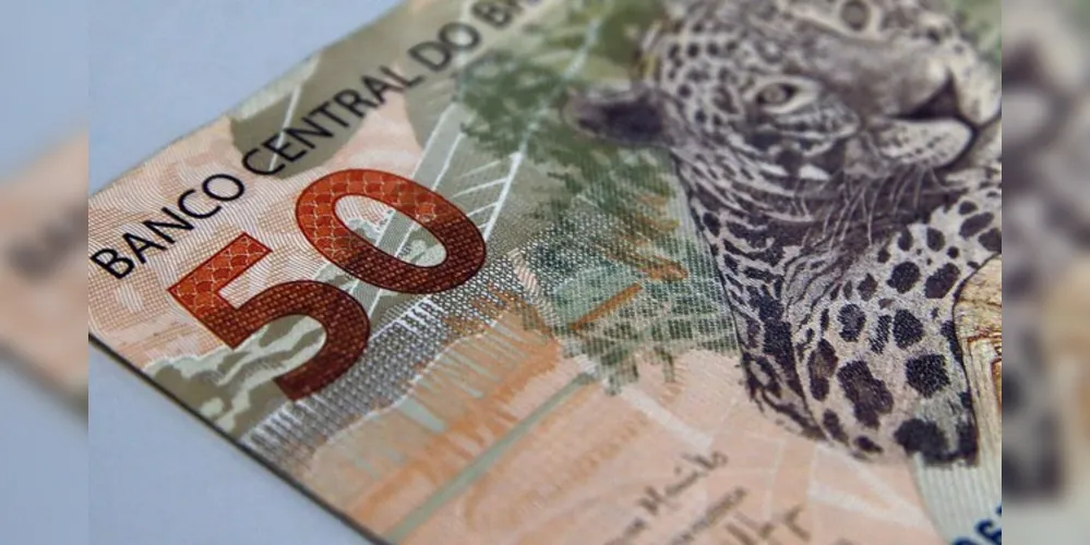 A previsão foi divulgada hoje pelo Ministério da Economia.