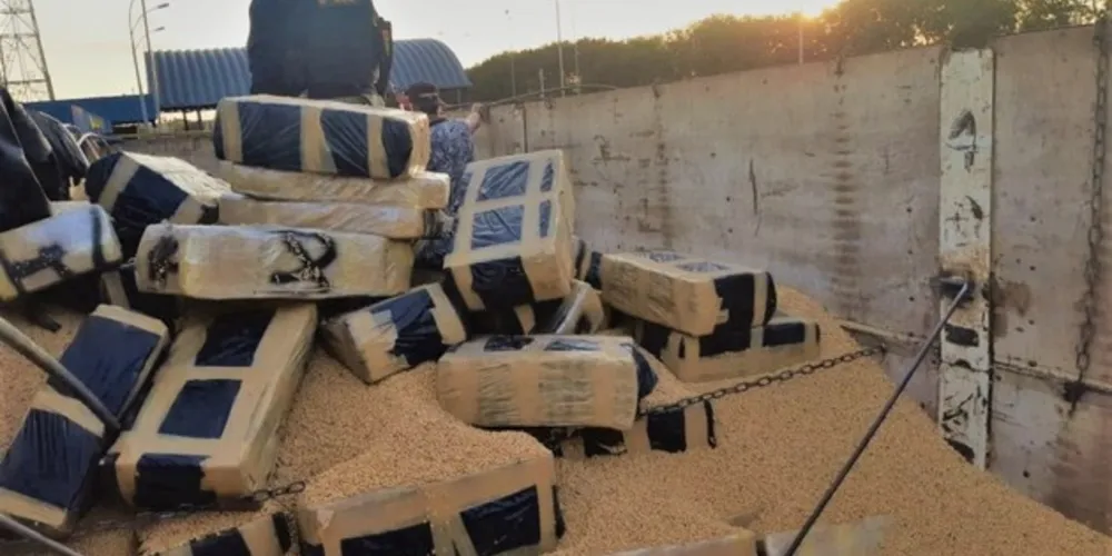 O total de 64,6 toneladas de maconha representa um aumento de quase 5 vezes em relação ao ano passado