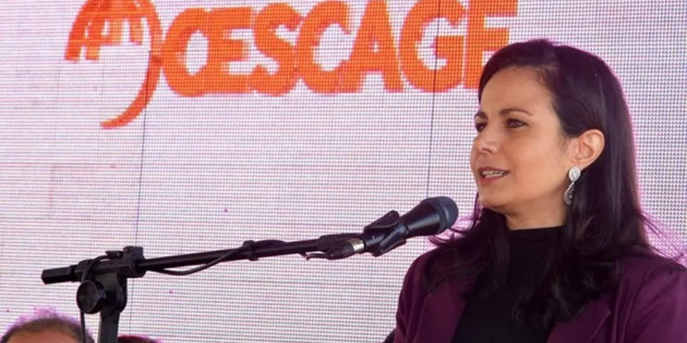Prof. Dra. Érika Zanoni Fagundes Cunha estará apresentando a sua Tese de Doutorado nos Estados Unidos.