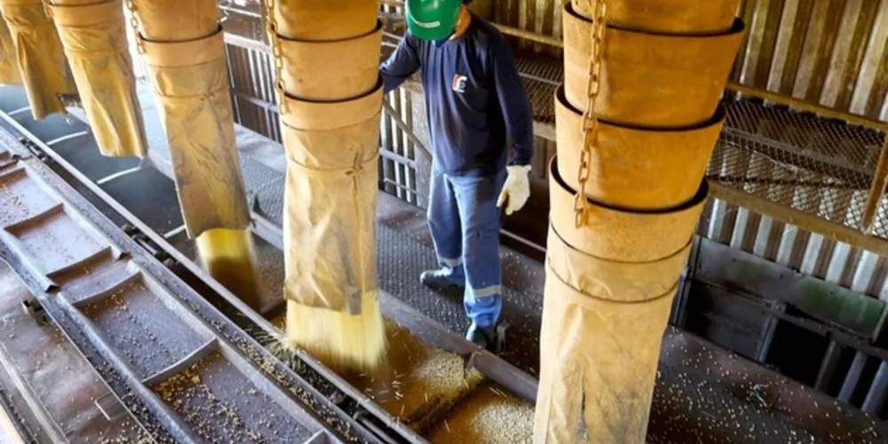 Nestes primeiros seis meses, o volume de grãos saltou de 133,2 milhões de toneladas úteis (MTU) para 303 milhões de toneladas.