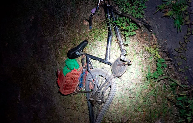 Imagem ilustrativa da imagem Atropelamento causa morte de ciclista na BR-277 em Palmeira