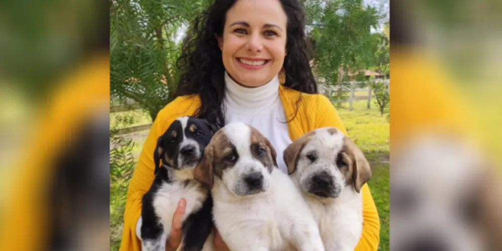 A Médica Veterinária e Diretora de Relações Institucionais das Faculdades Cescage, Prof. Dra. Érika Zanoni Fagundes Cunha, lançou sete manuais sobre comportamentos de animais e seus tutores.